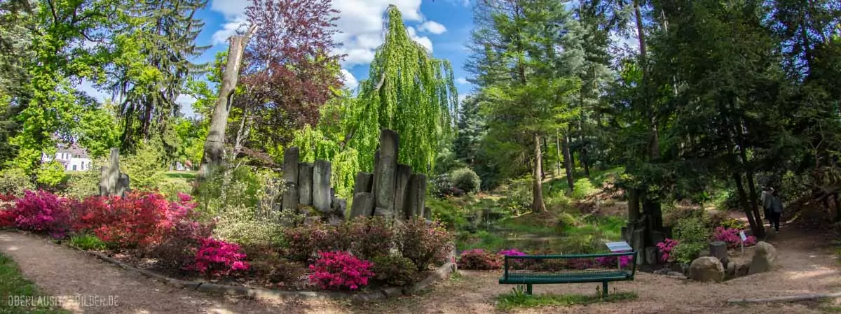 Rhododendronpark Kromlau (Gemeinde Gablenz), Panorama am Inselteich