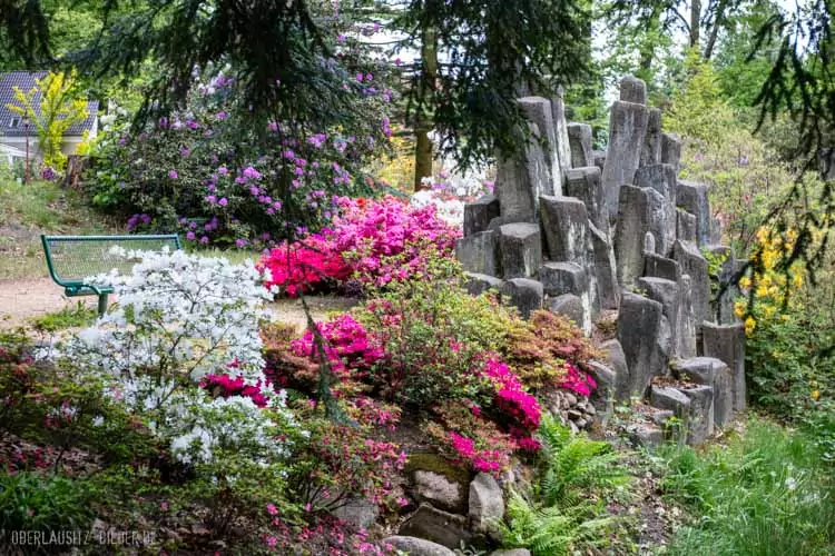 Rhododendronpark Kromlau (Gemeinde Gablenz), Basaltsäulen am Inselteich
